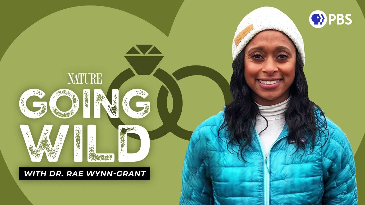 Ep7: Misunderstandings with the Masaai: Part Two | Going Wild with Dr. Rae Wynn-Grant