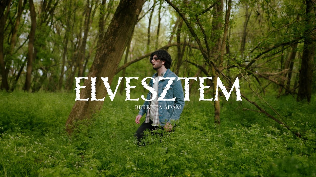 Beretka Ádám - Elvesztem