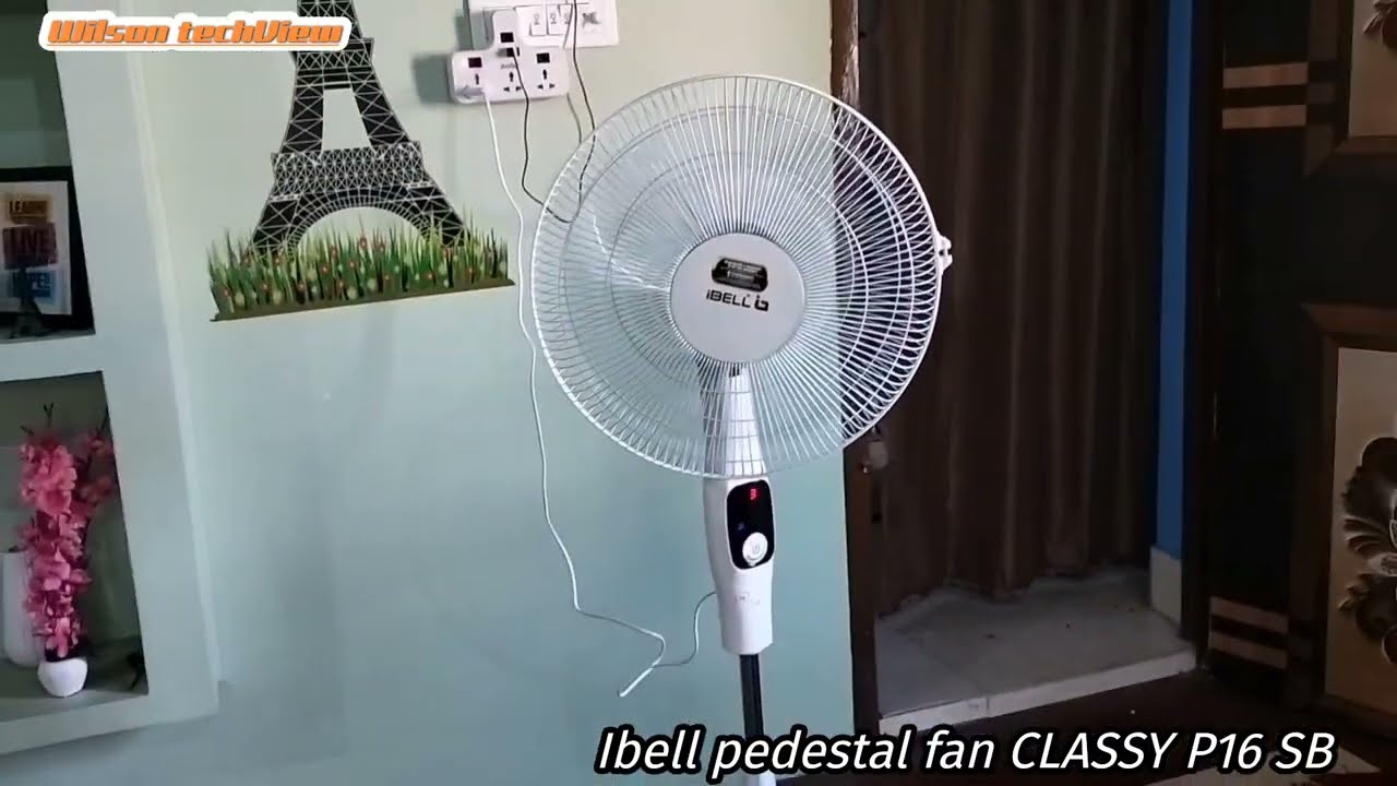 Ibell classy P16 SB pedestal fan #ibell #pedestalfan