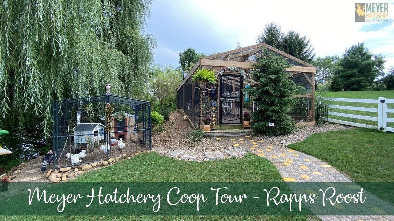 Meyer Hatchery Coop Tour - Rapps Roost!