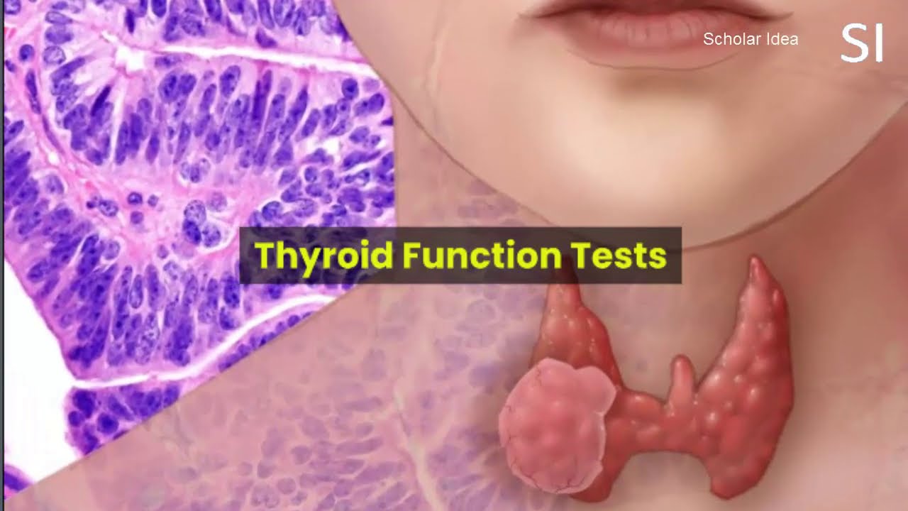Thyroid Function Tests !!!