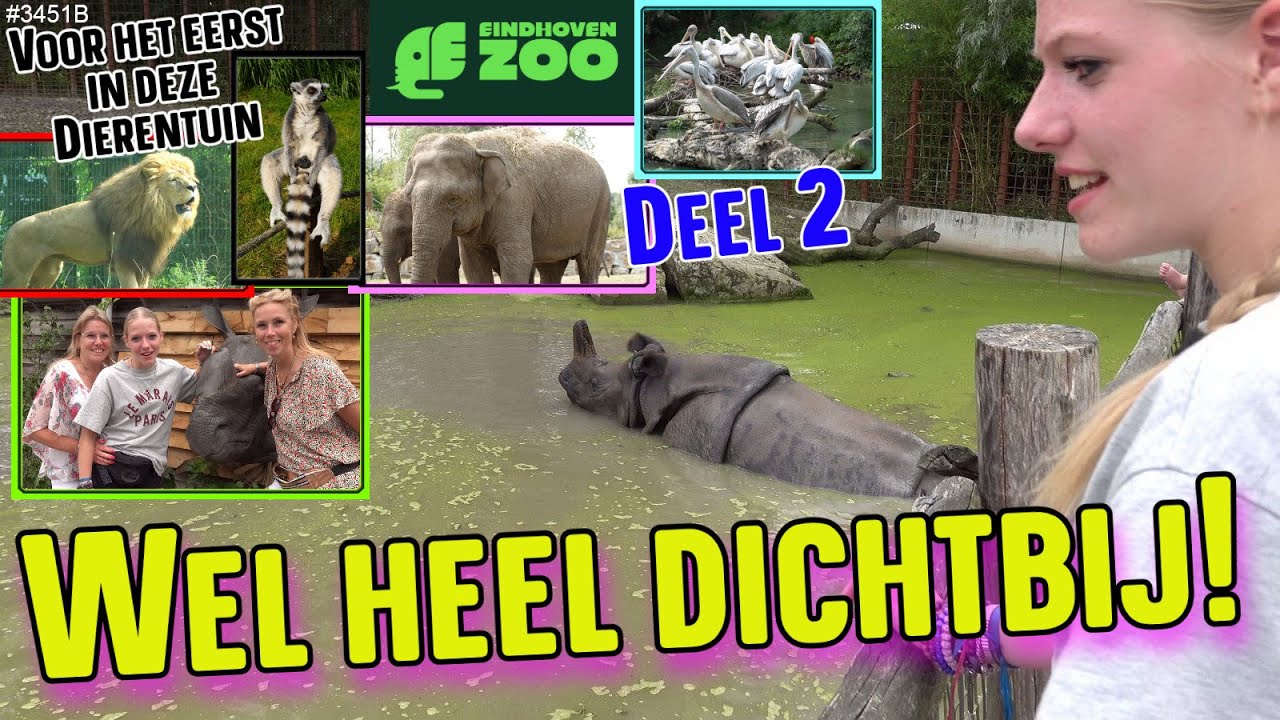 EINDHOVEN ZOO bezoeken. De DIEREN van HEEL DICHTBIJ gezien. Super LEUKE dag gehad.  #3451B
