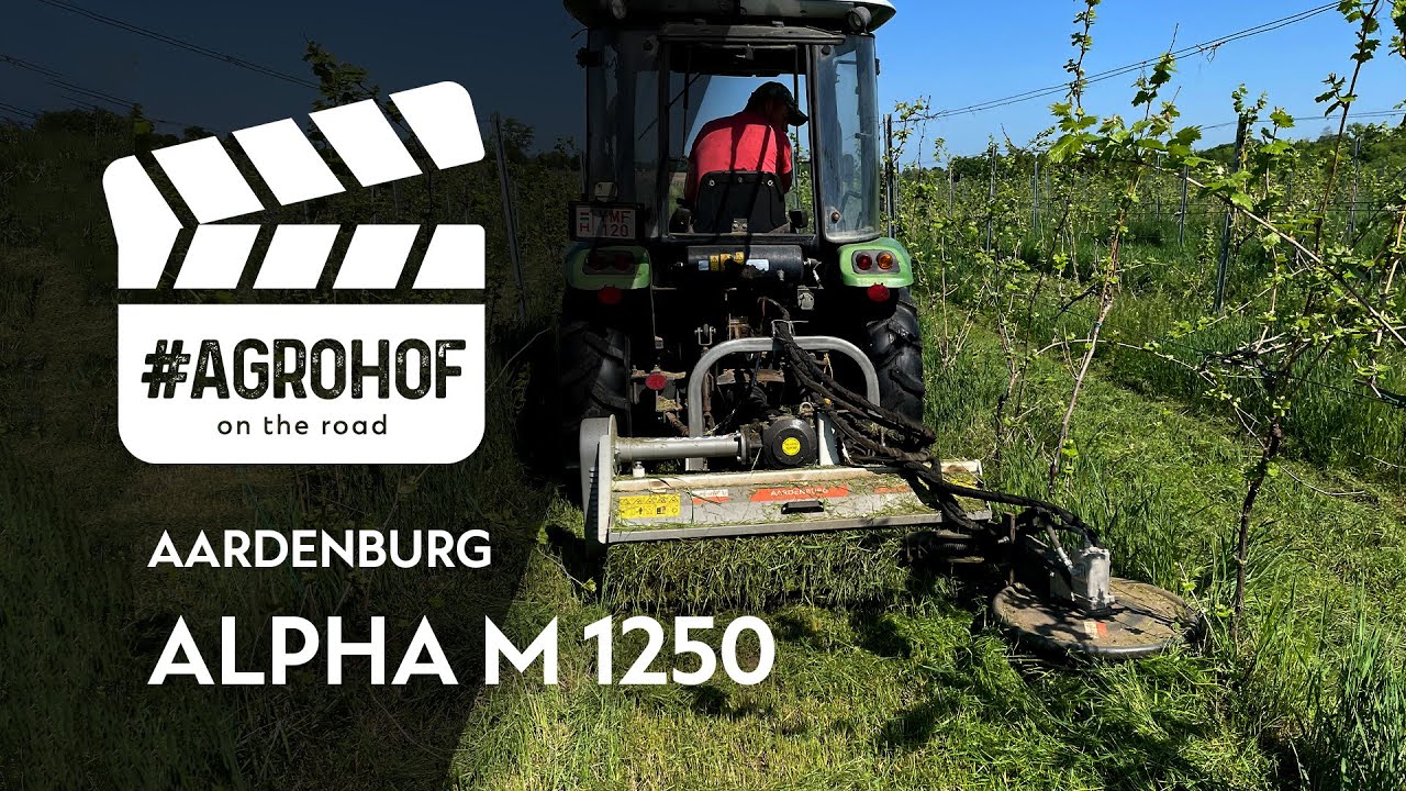 Work in the vineyards: inrow cleaning with Aardenburg Alpha M flail mower and Chery RD254🚜│Agrohof