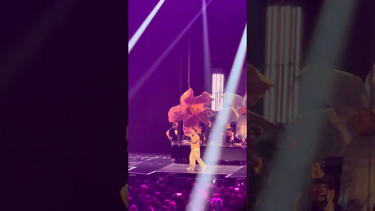 Christophe Mae - Il est où le Bonheur - Accor Arena - 16/01/2026 ( Interlude concert des Enfoirés)