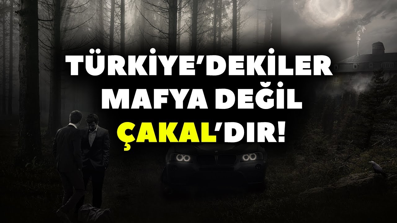 MAFYA TAM OLARAK NEDİR?