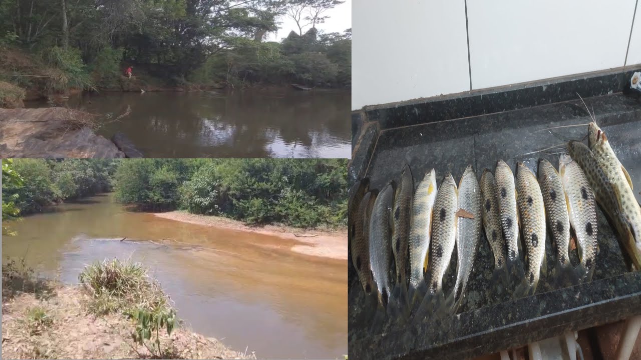 Última pescada do ano @Famílialica 