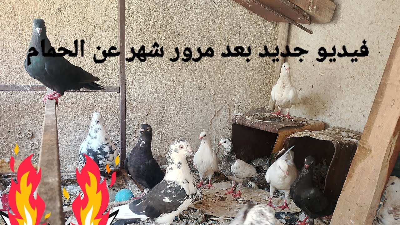 ١٥ أغسطس ٢٠٢٥
