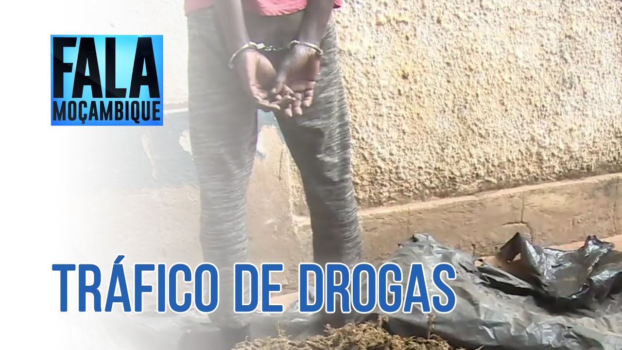 Casal detido em Chimoio indiciado na produção e venda de canabis sativa