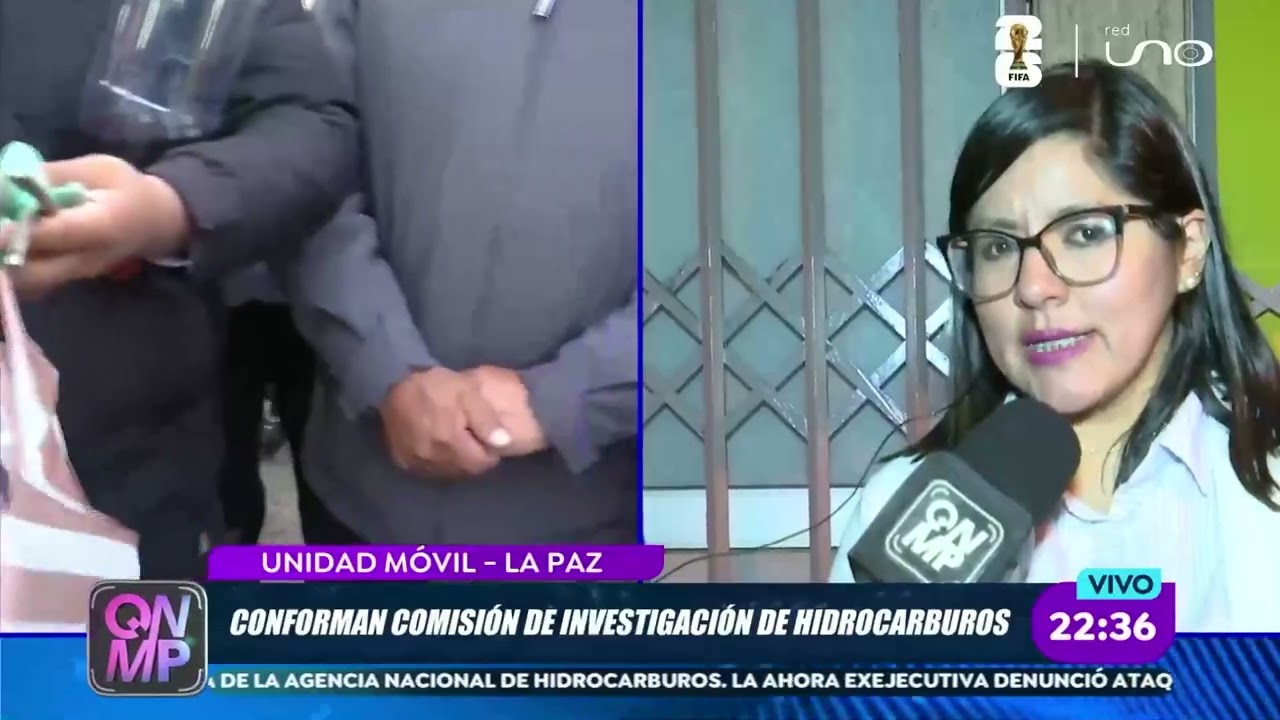 Combustible bajo la lupa
