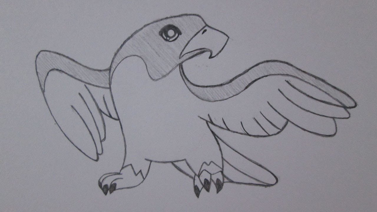 Como desenhar um falcão