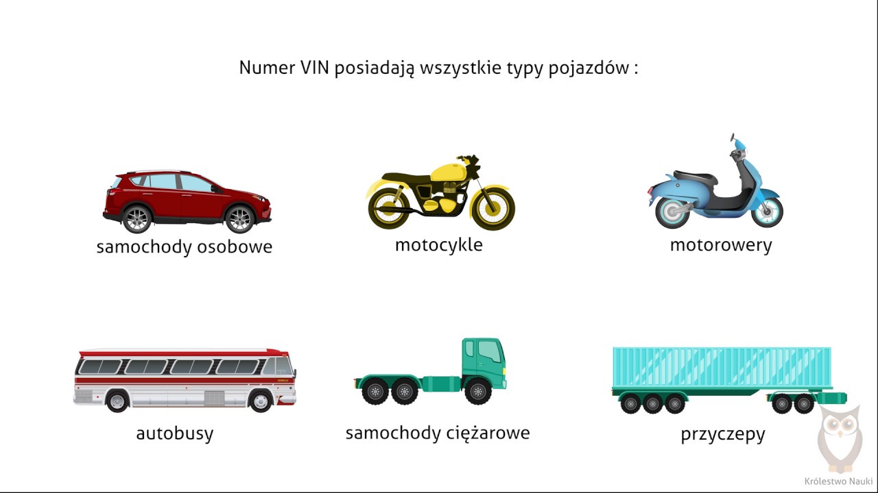 Wszystko co musisz wiedzieć na temat numeru VIN
