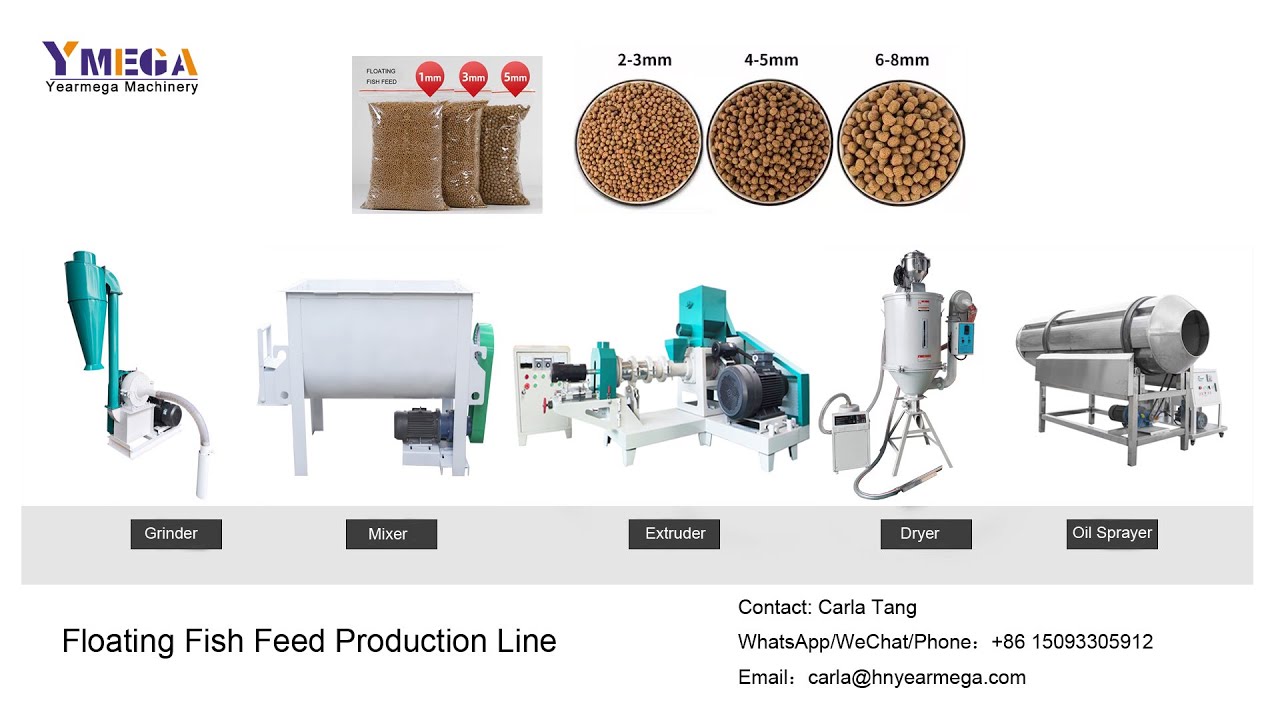 300 kg/h Floating fish feed production line working video