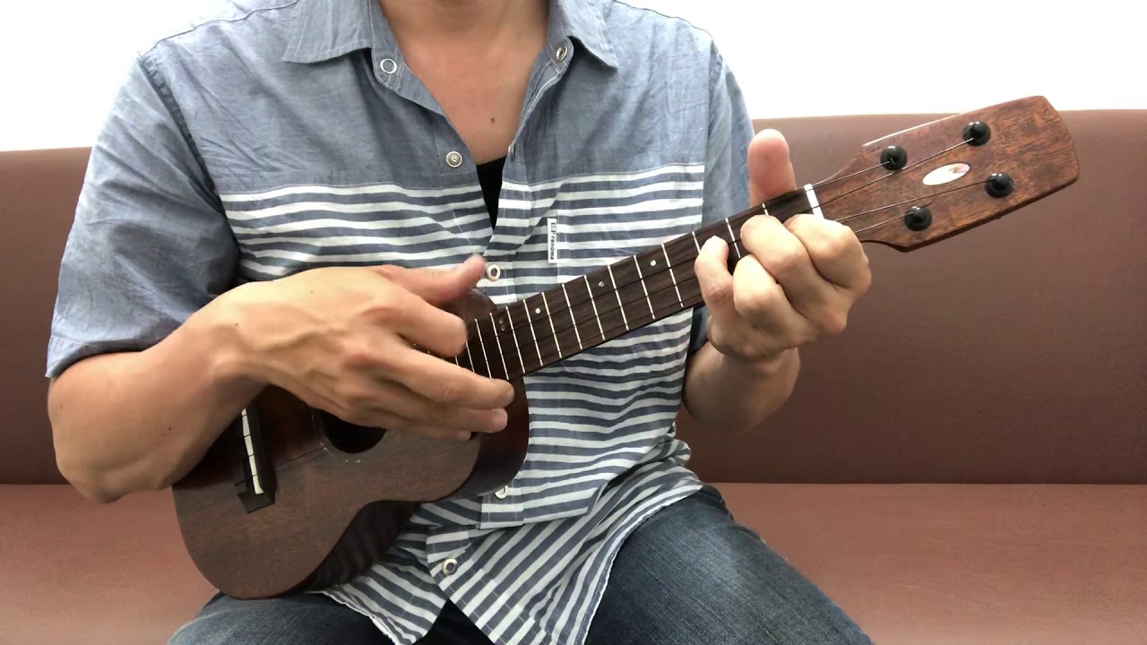 Seilen SLC-104vm/j     [LAST GUITAR]