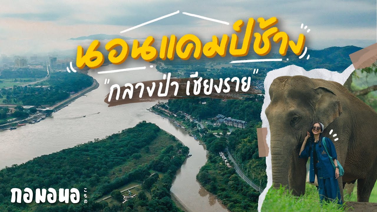 นอนโดมใส เดินป่ากับช้าง สามเหลี่ยมทองคำ เชียงราย | กอมอนอ