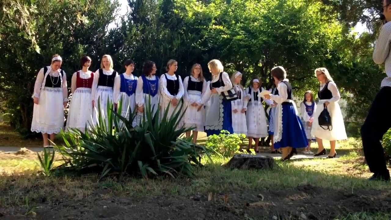 Heimattreffen 2013 | Schönauer Sachsentag und Treffen