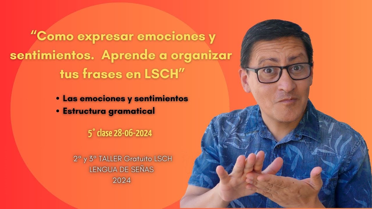 Como expresar emociones y sentimientos, como organizar tus frases en lengua de señas LSCH
