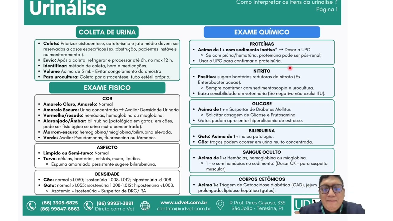 Urinálise Veterinária: Interpretação Clínica e Valor Diagnóstico | UDVet