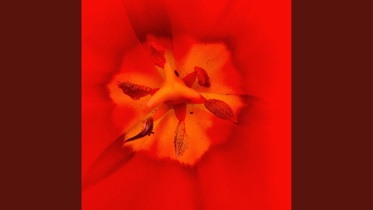 A Practice of Presence