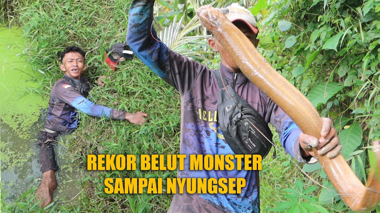 KEKUATAN BELUT MONSTER YANG BIKIN GEMETAR
