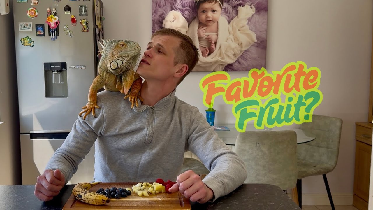 Which Snack Will My Iguana Choose? 🥬🍓 | Cutest Taste Test!
