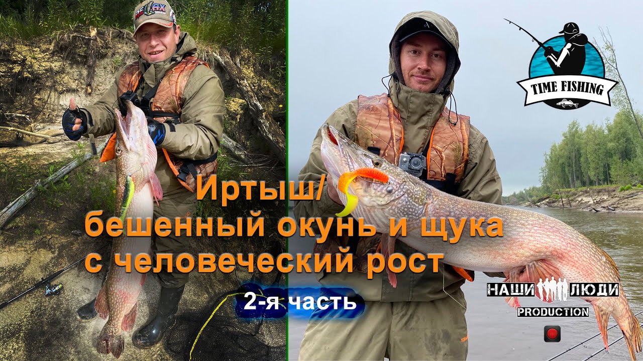 ИРТЫШ/БЕШЕНЫЙ ОКУНЬ И ЩУКА С ЧЕЛОВЕЧЕСКИЙ РОСТ