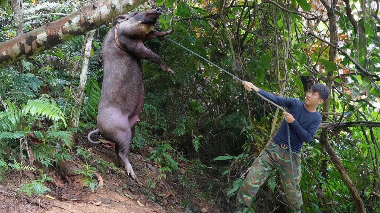 Harvesting Kale… Then I Tracked a Wild Boar in the Forest