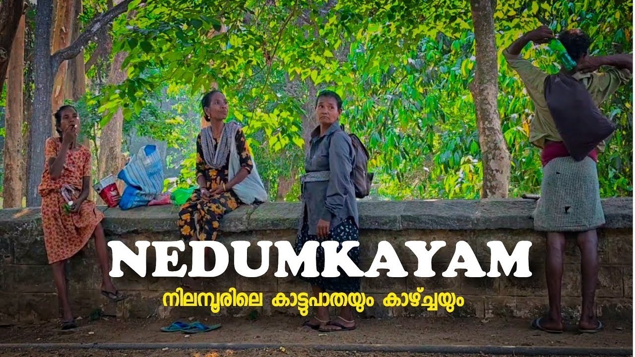 കരുളായി വനത്തിലെ കാഴ്ചകൾ ഇങ്ങനെയൊക്കെയാണ്....