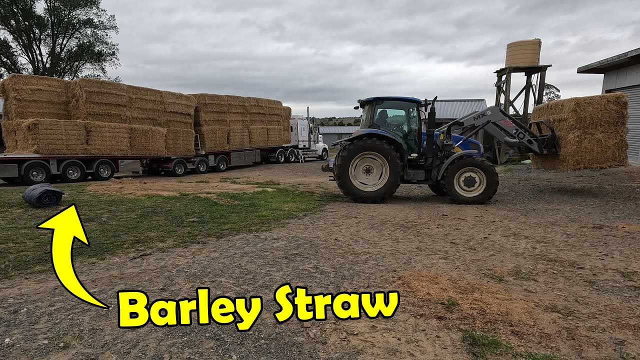 One Sweet Rig! Brought A Load Of Bales