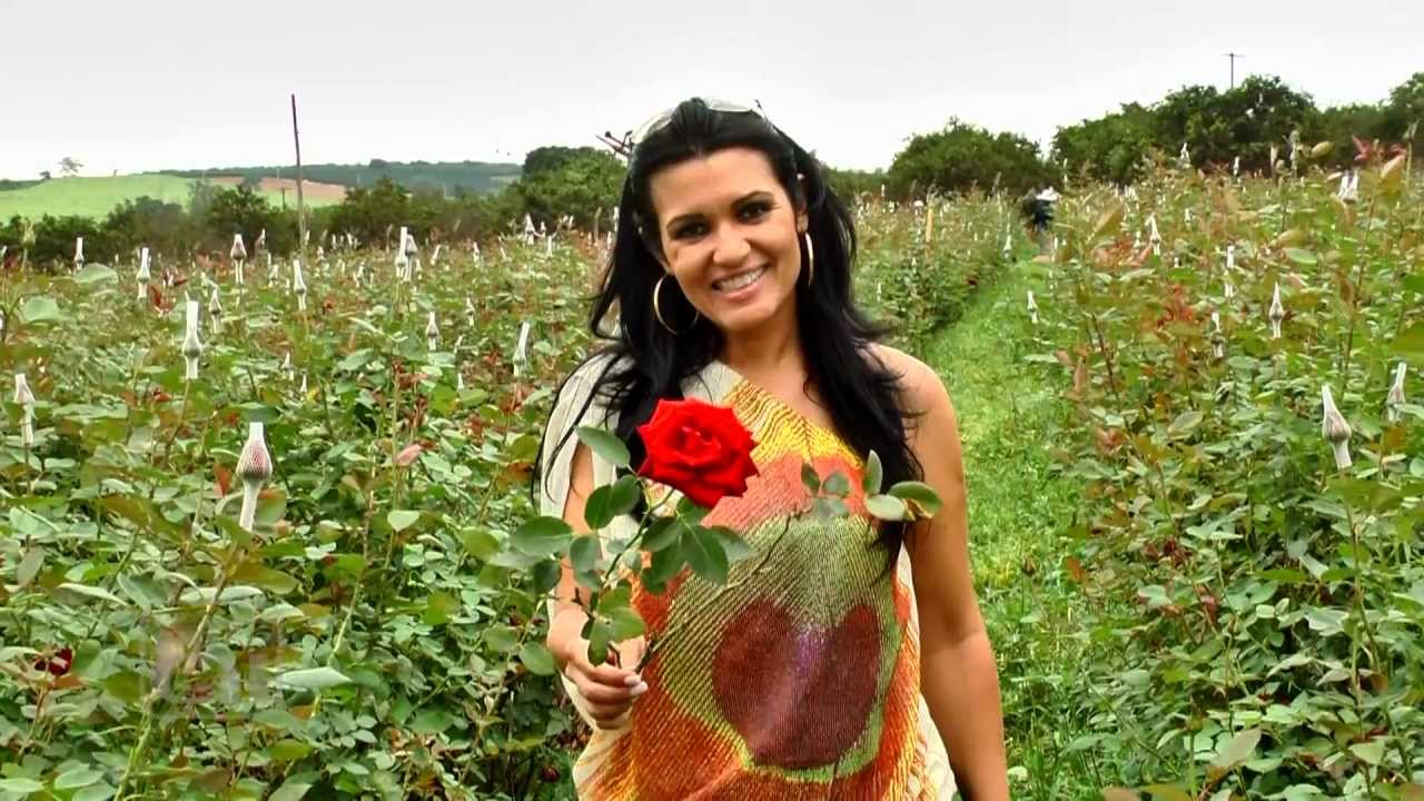 Holambra - SP: Plantas e Flores - Parte 01