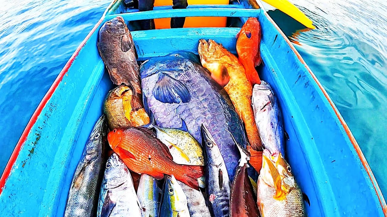 #Eps 110 Trip di Indonesia timur sanana maluku utara #PART3 || Spearfishing indonesia