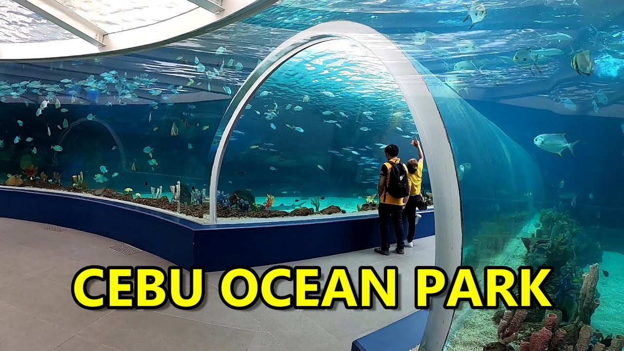 THE NEW CEBU OCEAN PARK NEAR SM SEASIDE MALL