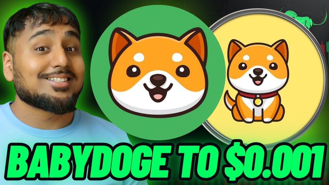BABYDOGE COIN TO $0.001!?  BABY DOGE IS THE NEXT SHIBA INU! $BABYDOGE PRICE PREDICTION