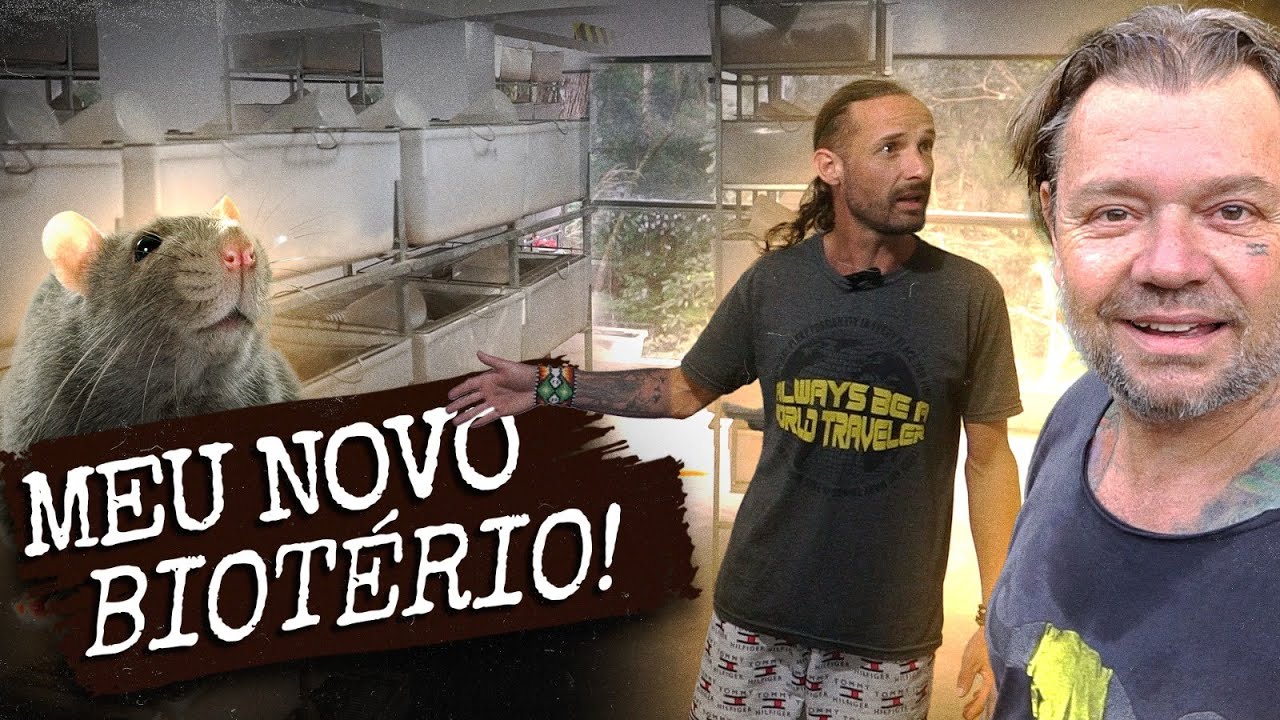 NOSSA NOVA CRIAÇÃO DE RATOS ESTÁ PRONTA! | A CASA DOS BICHOS