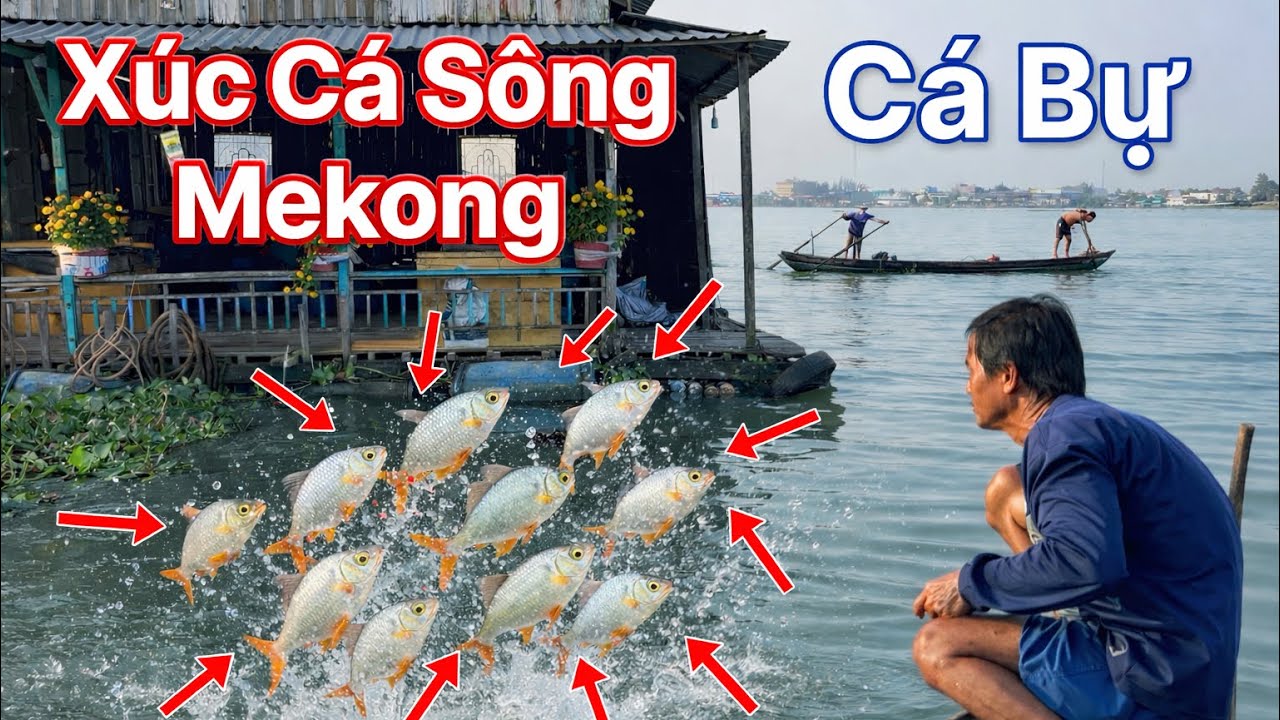 Xúc Vợt Đầu Tiên Lụm Con Cá Bự Rồi...! 