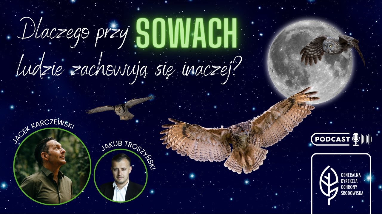 Dlaczego przy sowach ludzie zachowują się inaczej? | Radio GDOŚ
