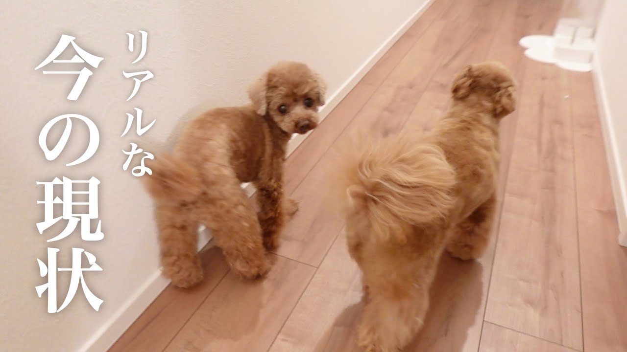 【現実】包み隠さず話します…これがリアルです。