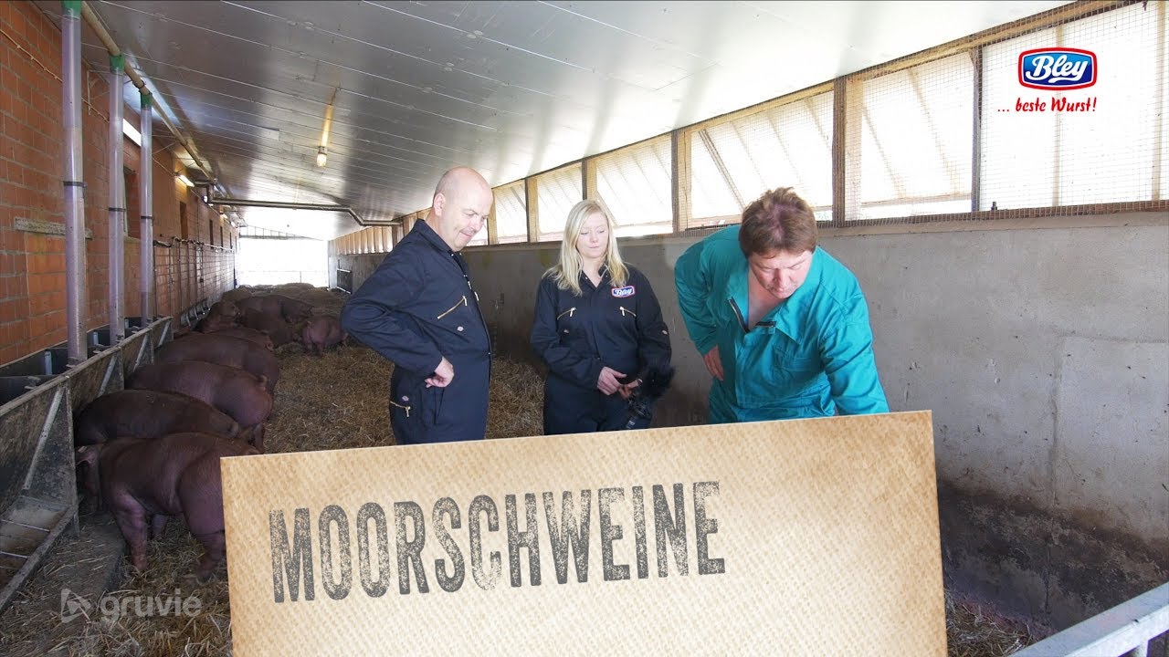 Zu Besuch bei unseren Moorschweinen