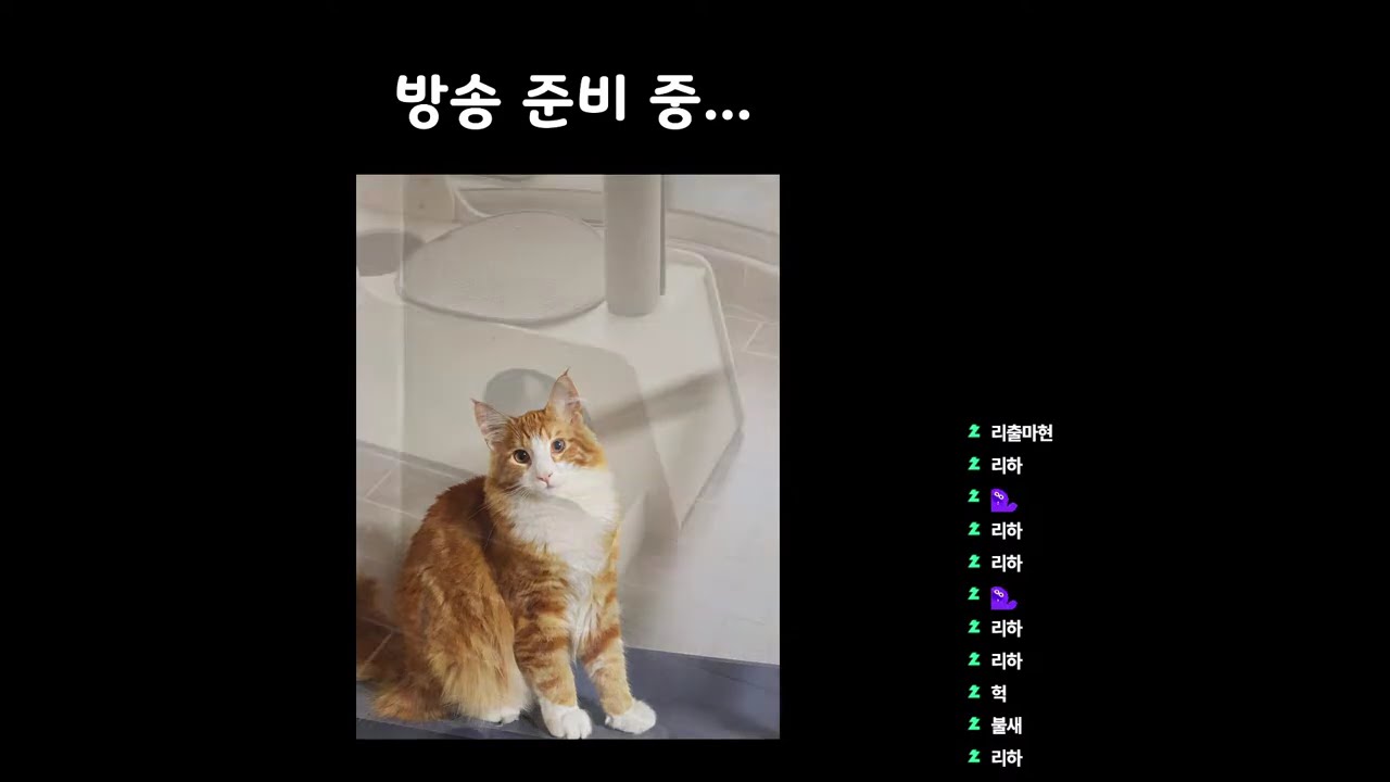 금요일의 리크리