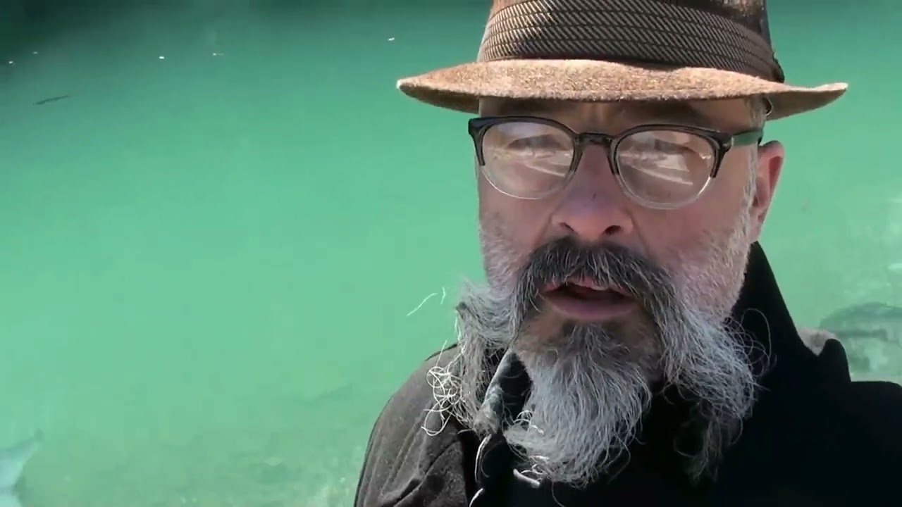 to the mirror, a quantum reflection