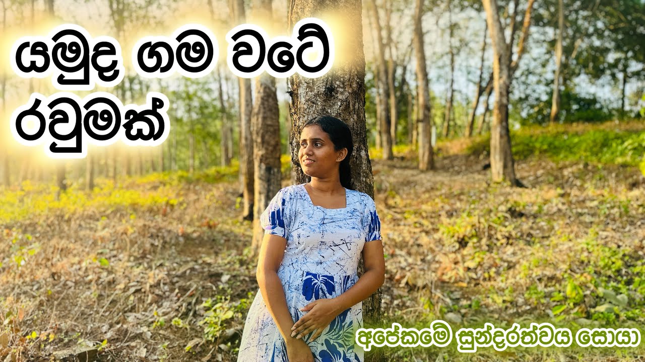 යමුද අපේ ගම වටේ රවුමක් 🌴🌾🌺🦚