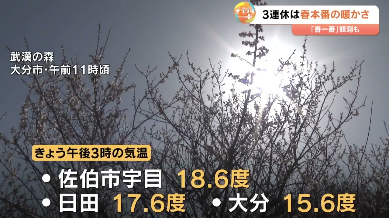春の暖かさ　大分市で15.6度を記録　24日からは一転して雨の見込み