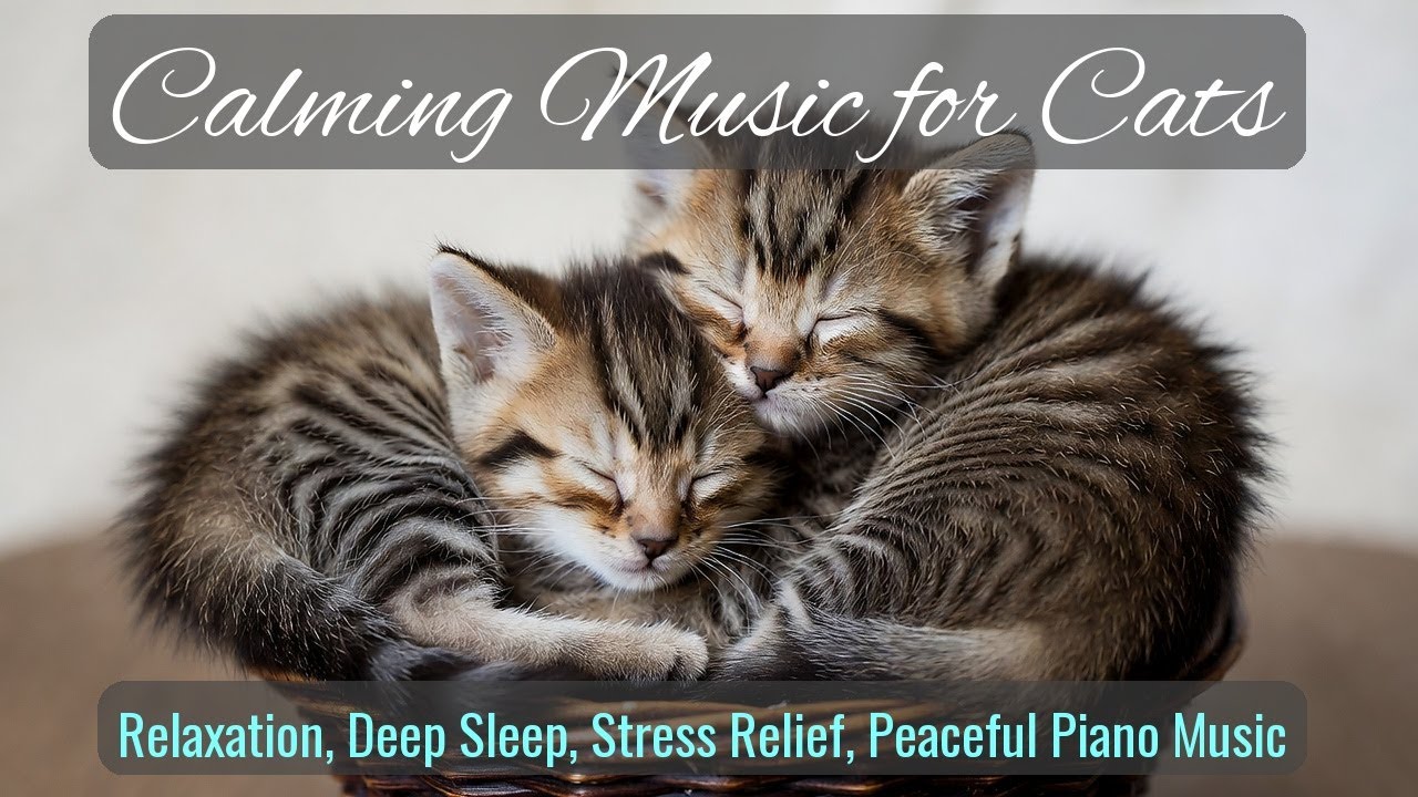 Calming Music for Cats - Relaxation, Deep Sleep, Stress Relief, Peaceful Piano Music | Season 52
