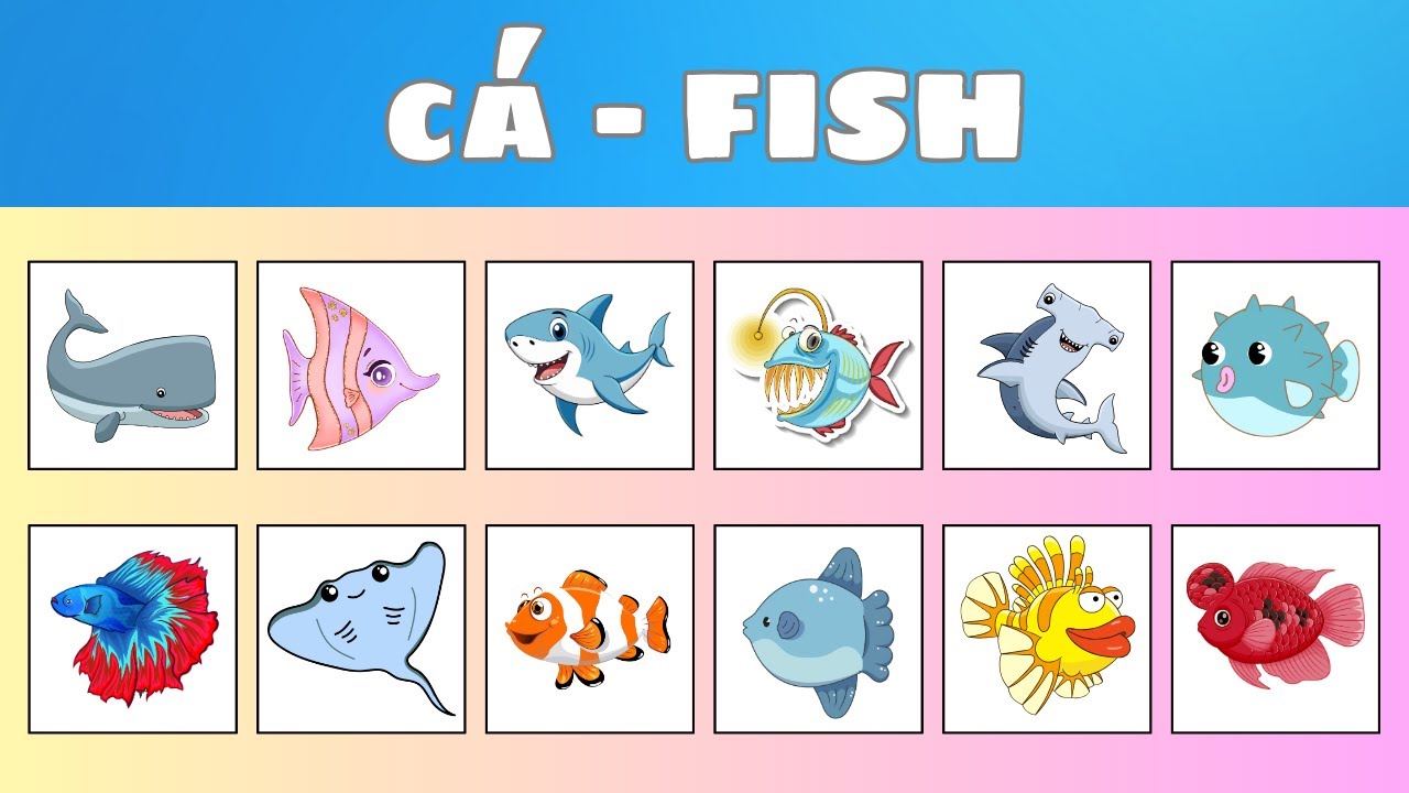 🐠 B&eacute; Học Tiếng Anh T&ecirc;n C&aacute;c Lo&agrave;i C&aacute; | Learn Fish Names in English for Kids 🐡 | Oh Vui Kids