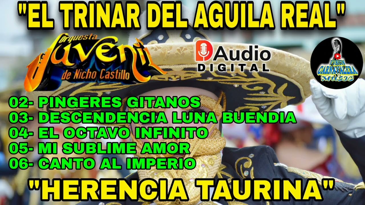 ORQUESTA JUVENIL NICHO CASTILLO 