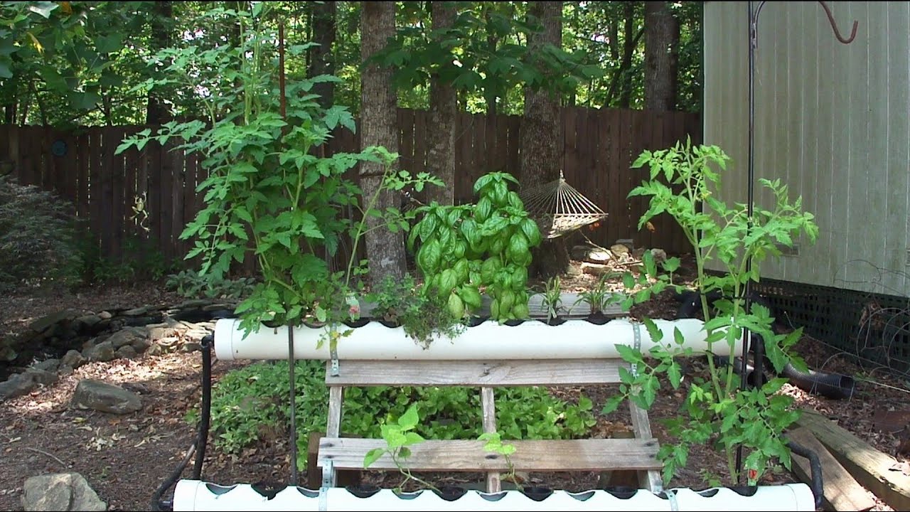 Hydroponics Koi Pond Filter Experiment - Part 2