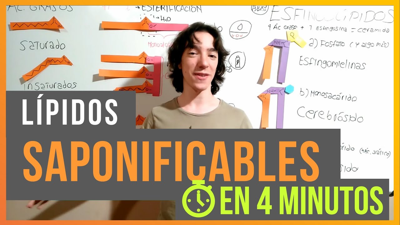 L&iacute;pidos Saponificables en 4 minutos