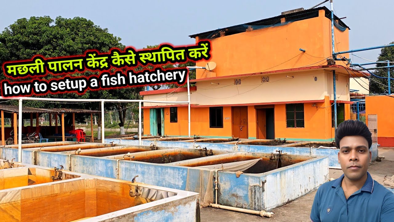 how to setup a fish Breeding hatchery / kitna Sara tanka jarurat hai? how to setup fish tank pipe