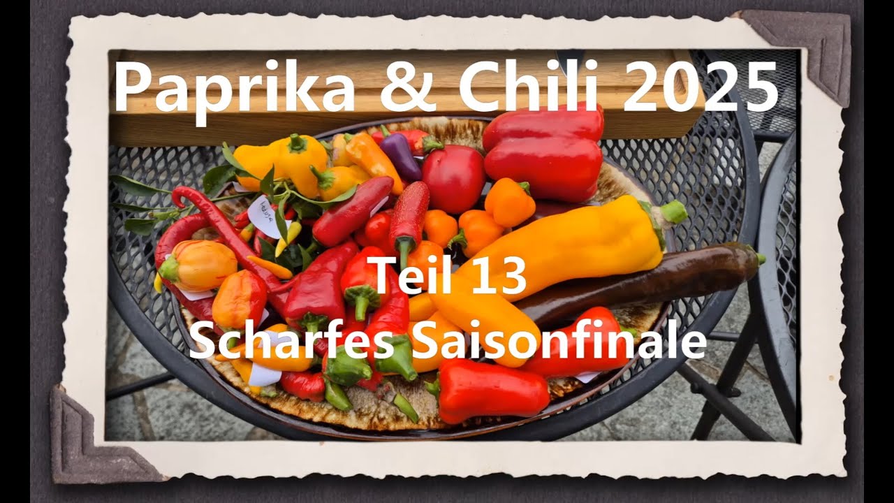 Paprika & Chili 2025 Teil 13 - Scharfes Saisonfinale