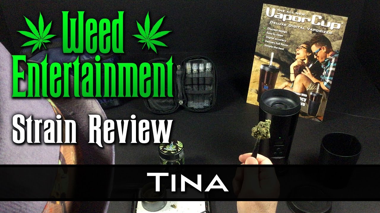 Tina - Indica - by Exotic Genetix - Strain Review - from Cookies, Woodland Hills Ca.