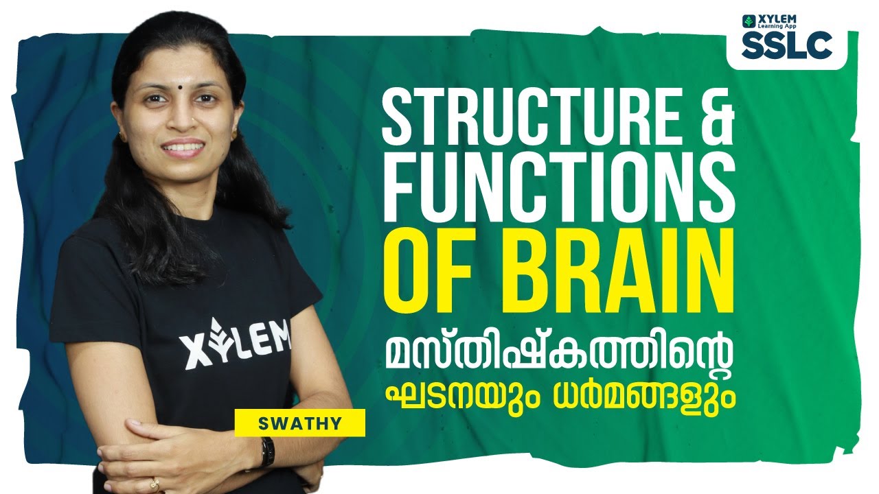 STRUCTURE AND FUNCTIONS OF BRAIN | BIOLOGY | XYLEM JUNIOR